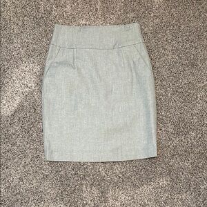 Elegant Gray Women's Skirt